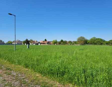 Püskin építési telkek eladók!   12.700Ft/m2+Áfa-tól