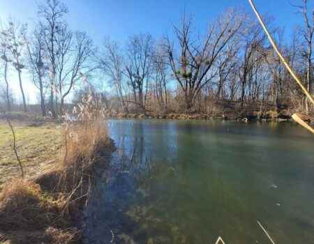 Vízparti telek Dunaszigeten természetvédelmi övezetben!  100 millió Ft