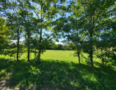 Mesés környezetben Dunakilitin építési telek eladó! 1455 m2  72.000€